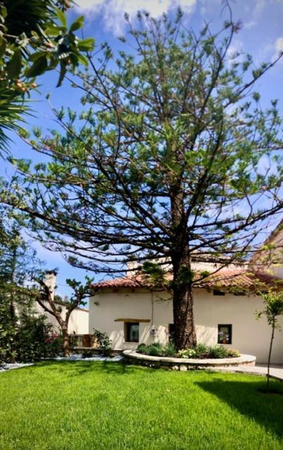 Chorio House Platanias Guest House Vrisai Exterior photo